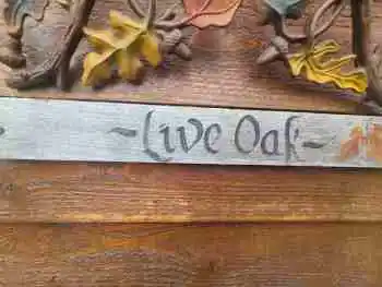 Live Oak photo 2