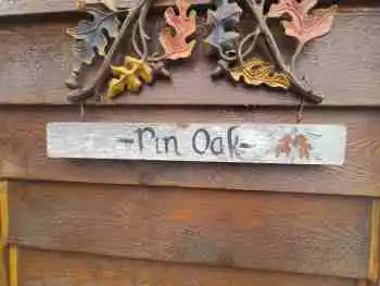 Pin Oak photo 2