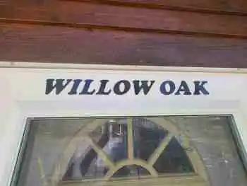Willow Oak photo 3
